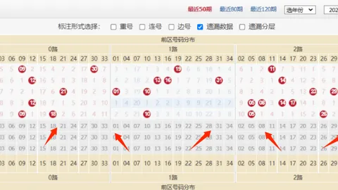 【惊喜大放送】揭秘排列326038专家独家推荐号码，全排列解析，不容错过的幸运密码！