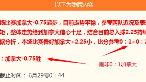 巴西乙联赛焦点战邦迪比达对决基斯奥马Bet365中文网址：独家前瞻解析